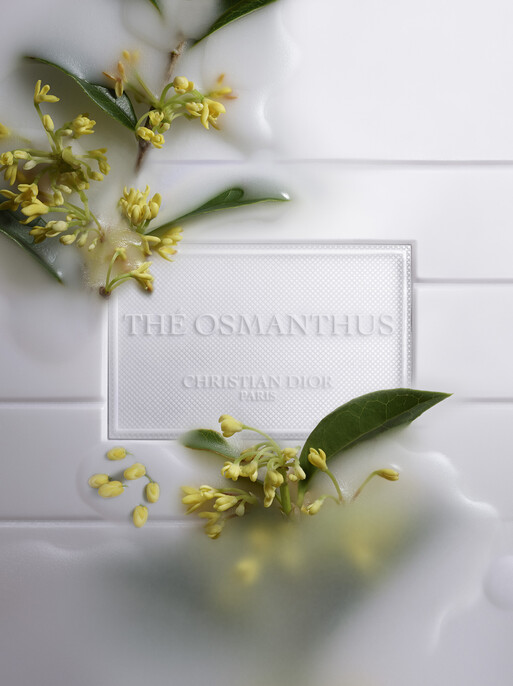 Photo : Gaël Langevin