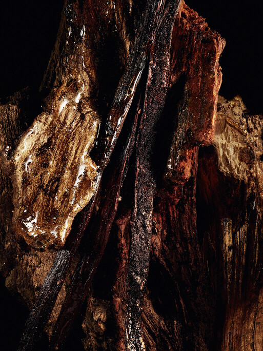 Photo : Amy Humphreys