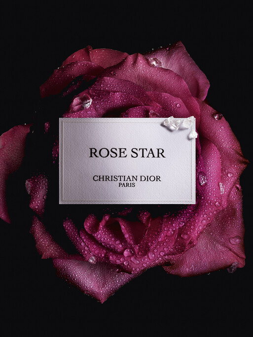 Photo : Federico Berardi