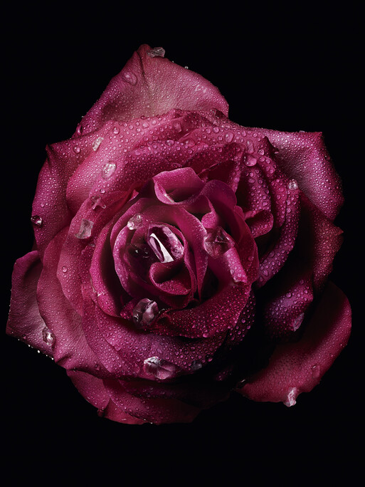 Photo : Federico Berardi