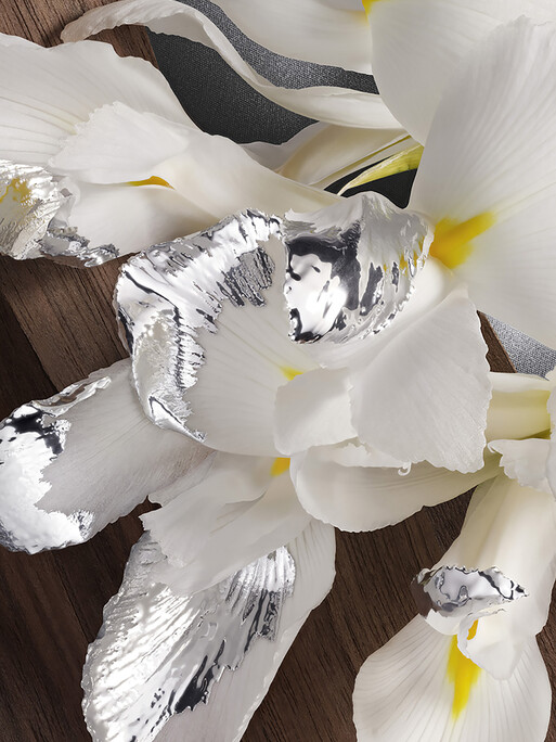 Photo : Amy Humphreys