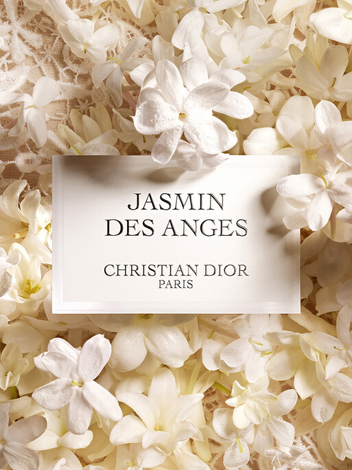 Photo : Amy Humphreys