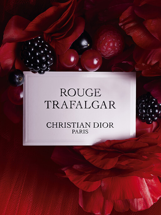 Photo : Amy Humphreys