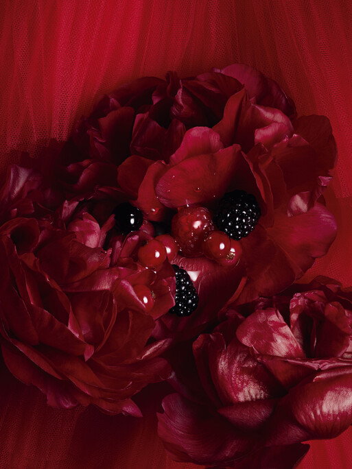 Photo : Amy Humphreys