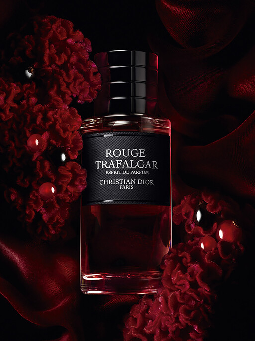 Photo : Federico Berardi