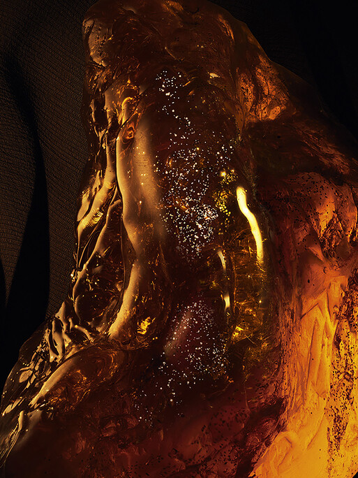 Photo : Federico Berardi