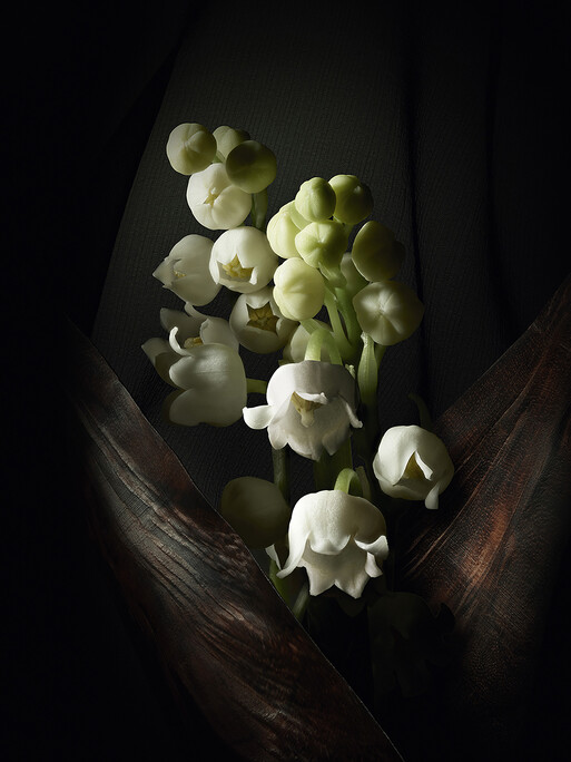 Photo : Federico Berardi