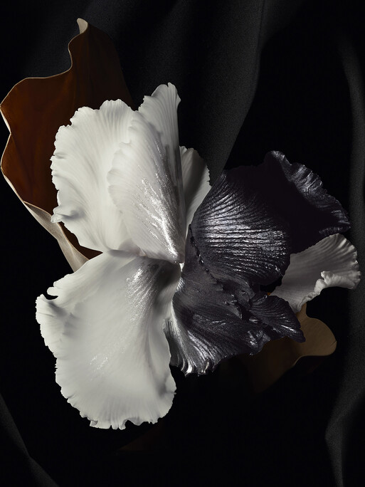 Photo : Federico Berardi