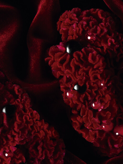 Photo : Federico Berardi