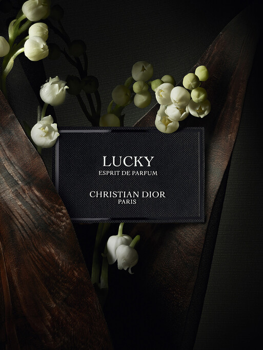 Photo : Federico Berardi