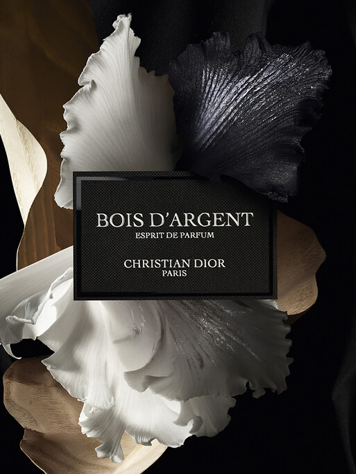 Photo : Federico Berardi