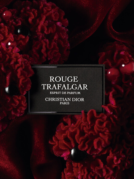 Photo : Federico Berardi