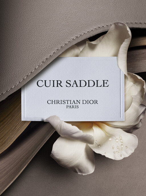 Photo : Federico Berardi