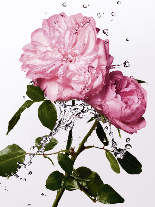 Miss Dior