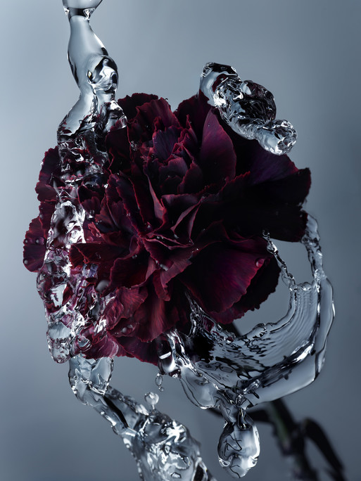 Photo : Federico Berardi