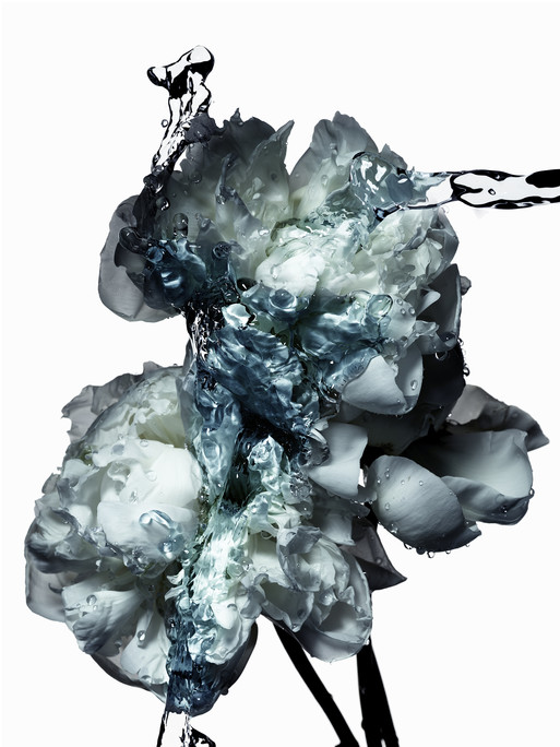 Photo : Federico Berardi