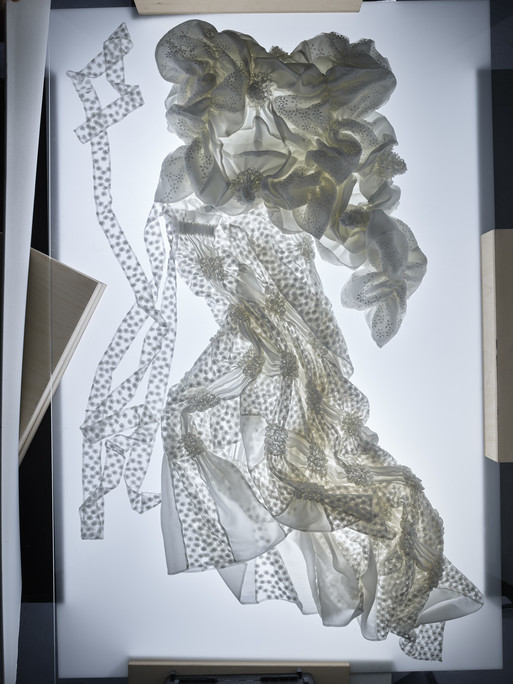 Photo : Federico Berardi