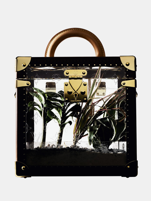 Photo : Federico Berardi