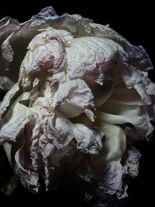 Photo : Federico Berardi