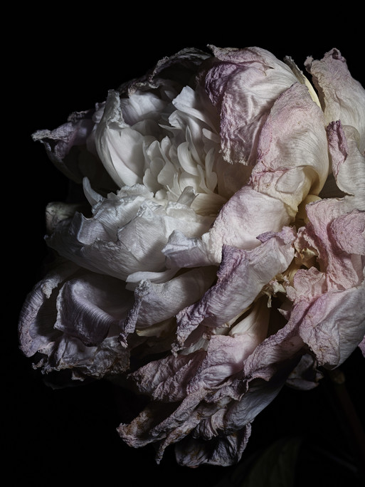 Photo : Federico Berardi