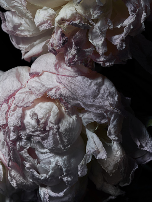 Photo : Federico Berardi