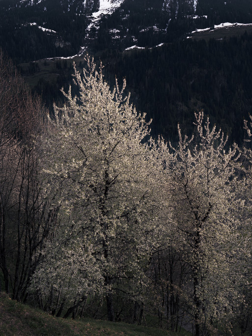 Photo : Federico Berardi