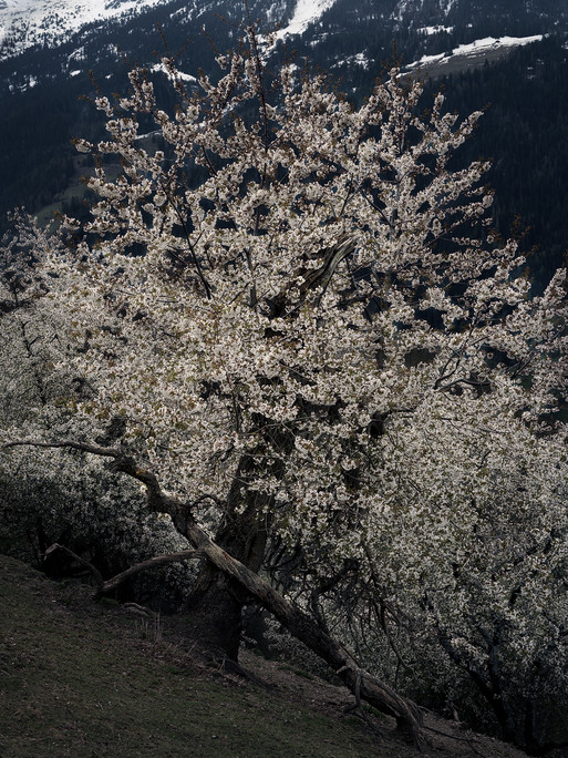 Photo : Federico Berardi