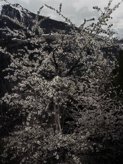 Photo : Federico Berardi