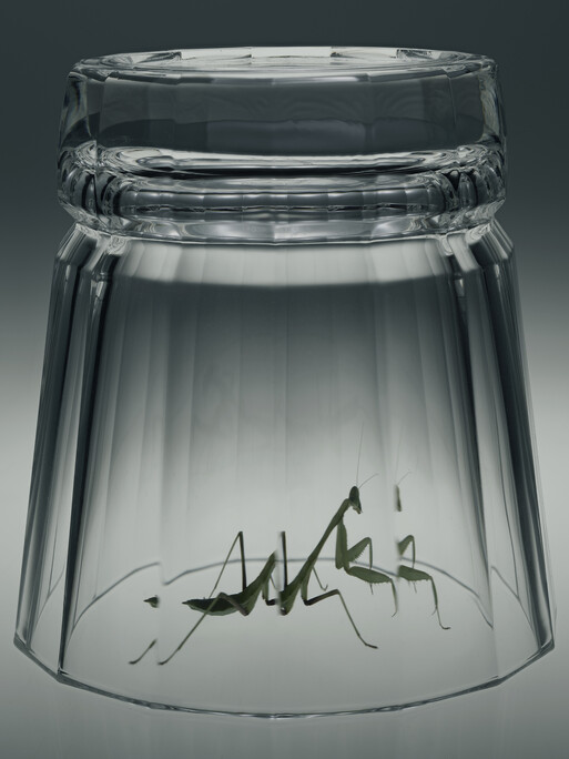 Photo : Federico Berardi