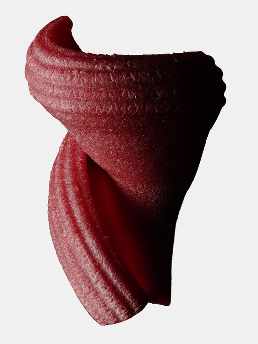 Photo : Federico Berardi