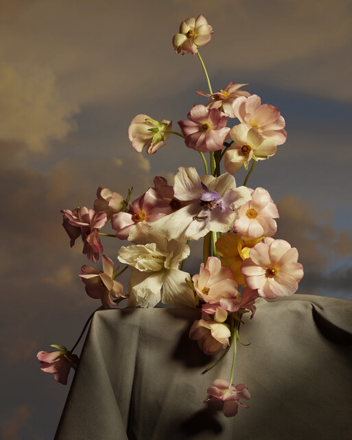 Photo : Amy Humphreys