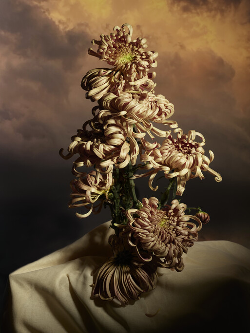 Photo : Federico Berardi