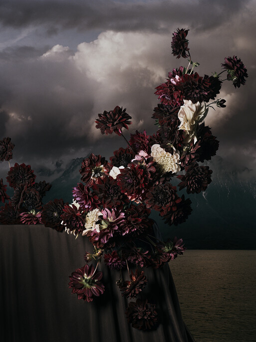 Photo : Federico Berardi