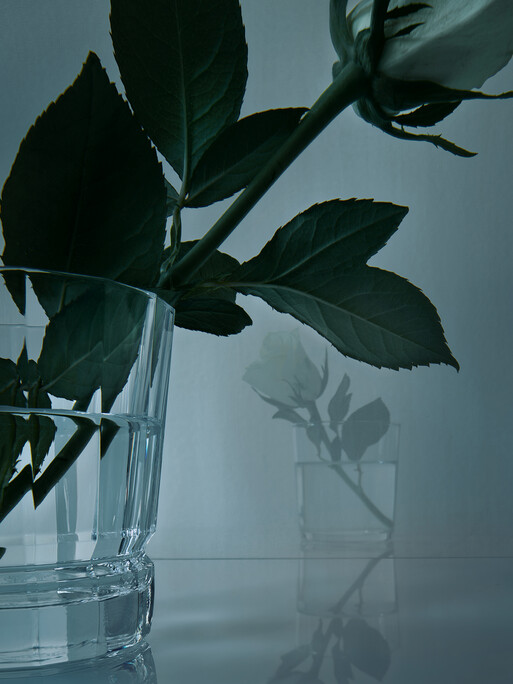 Photo : Federico Berardi