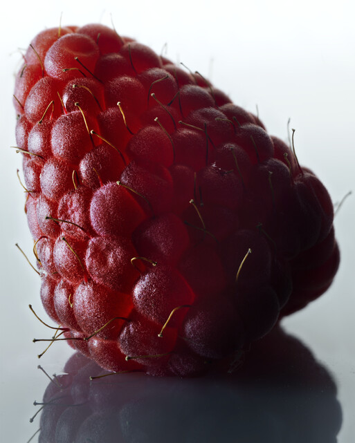 Photo : Federico Berardi