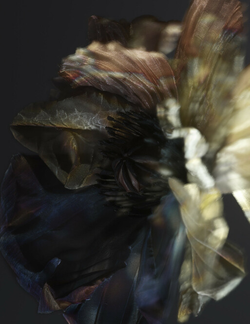 Photo : Raisa Balona