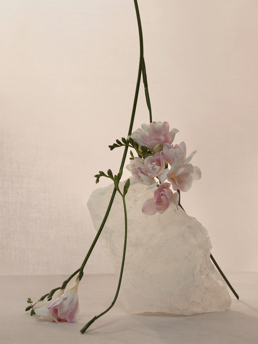 Photo : Amy Humphreys