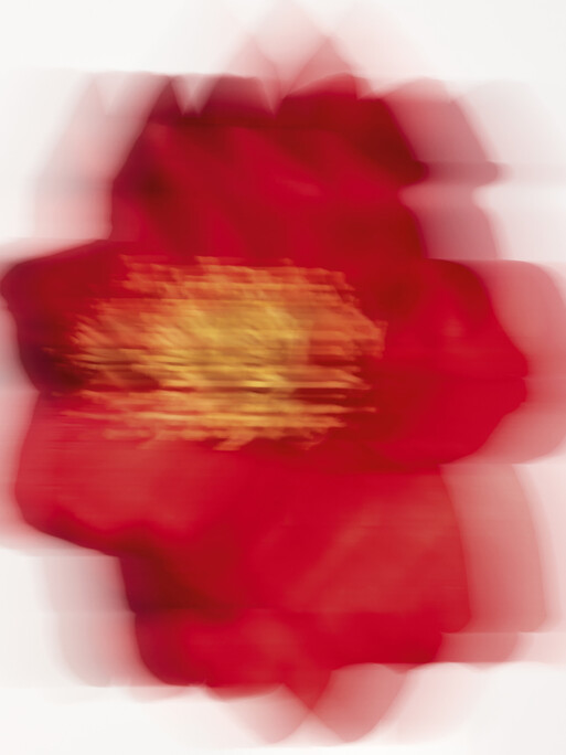 Photo : Raisa Balona