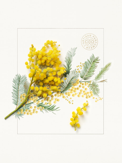 L'artisan Parfumeur - Photos Aude Lemoine