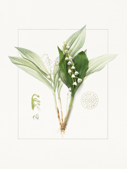 Photo : Raisa Balona