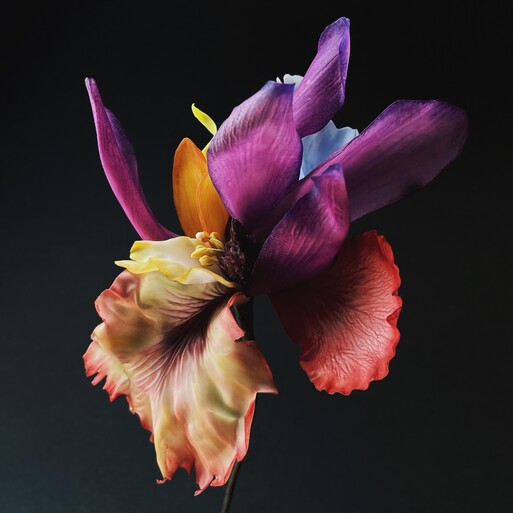 Photo : Raisa Balona