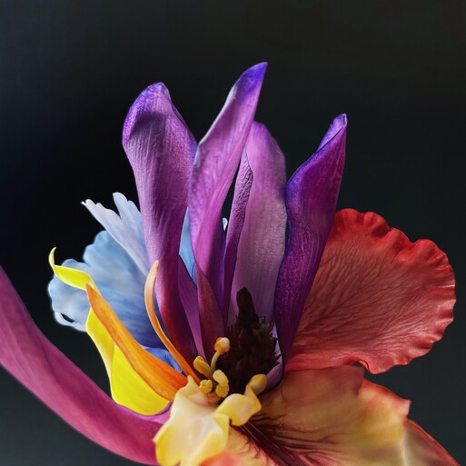 Photo : Raisa Balona