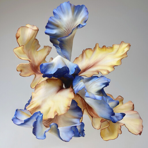 Photo : Raisa Balona