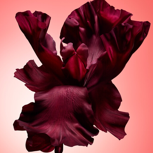 Photo : Raisa Balona