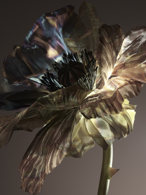 Photo : Raisa Balona