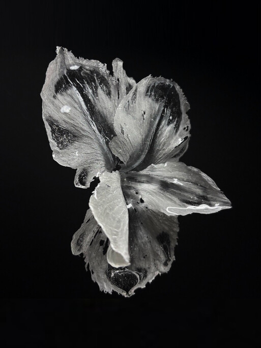Photo : Raisa Balona