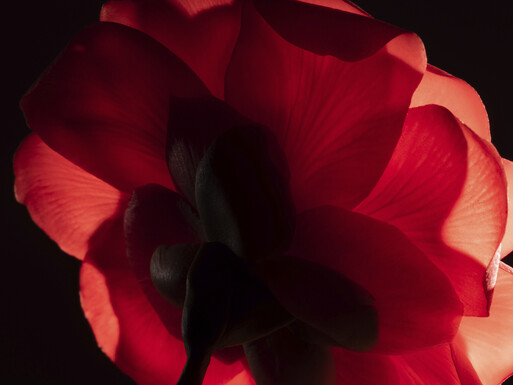 Photo : Raisa Balona